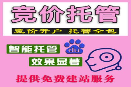 百度竞价SEM深度解析：某行业成功推广经验